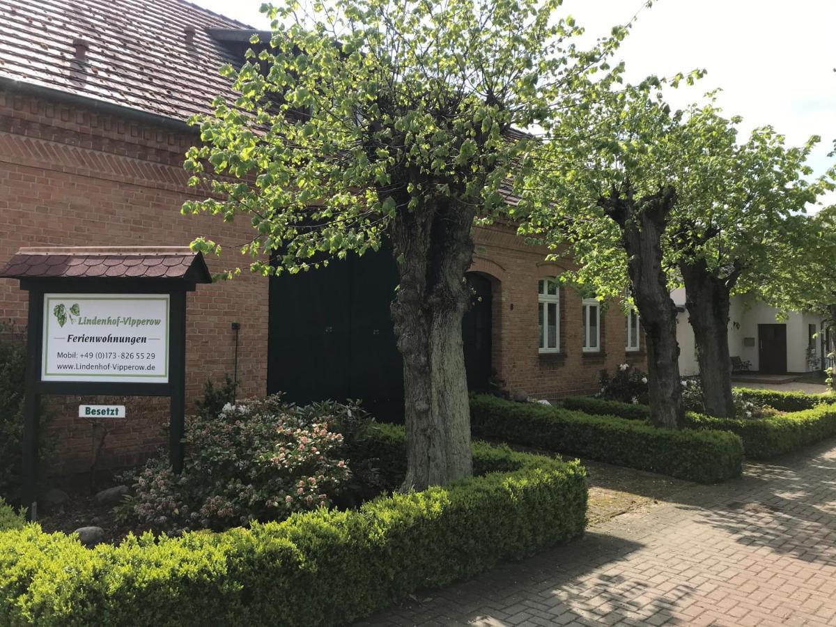 Lindenhof, Wohnung 1, Giebel Vipperow Zewnętrze zdjęcie