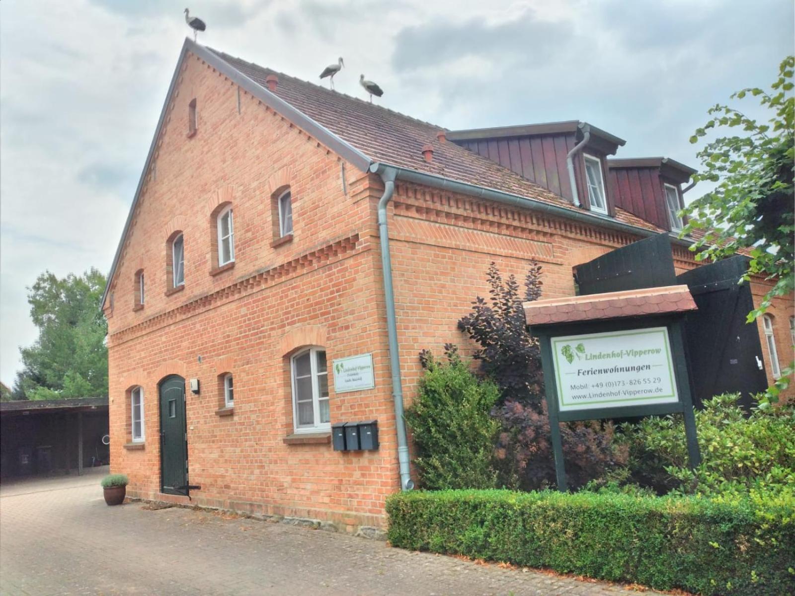 Lindenhof, Wohnung 1, Giebel Vipperow Zewnętrze zdjęcie